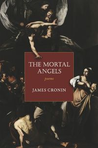 Cover image for The Mortal Angels