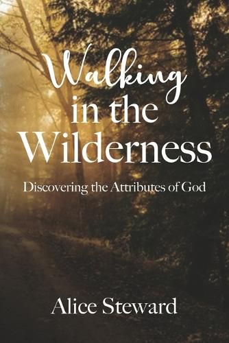 Cover image for Walking in the Wilderness Discovering the Attributes of God