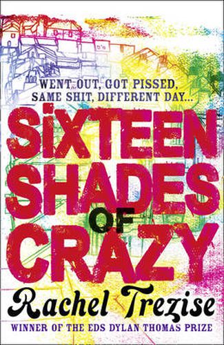 Cover image for Sixteen Shades of Crazy