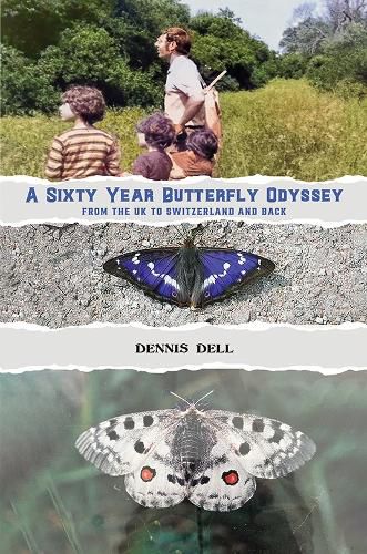 Cover image for A Sixty Year Butterfly Odyssey