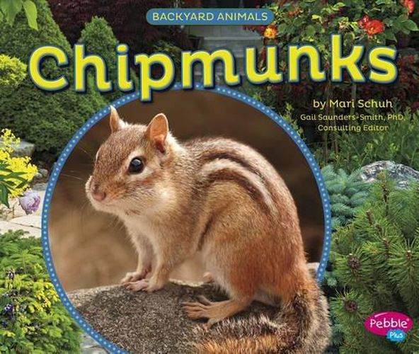 Cover image for Chipmunks