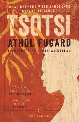 Cover image for Tsotsi