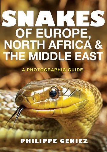 Cover image for Snakes of Europe, North Africa and the Middle East: A Photographic Guide