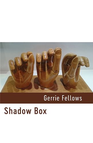 Cover image for Shadow Box