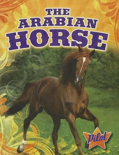 Cover image for The Arabian Horse