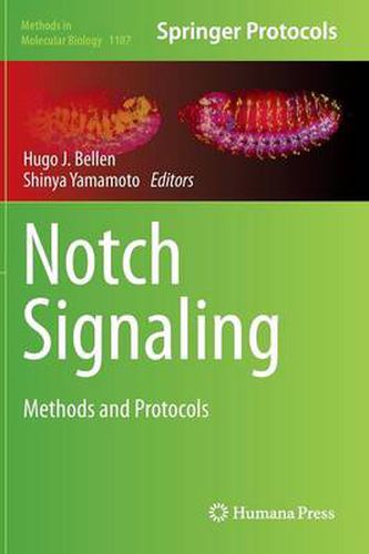 Cover image for Notch Signaling: Methods and Protocols