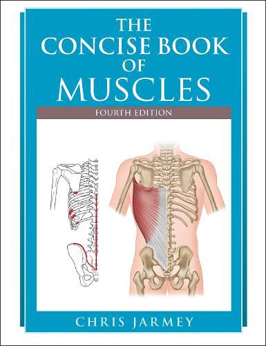 Cover image for The Concise Book of Muscles