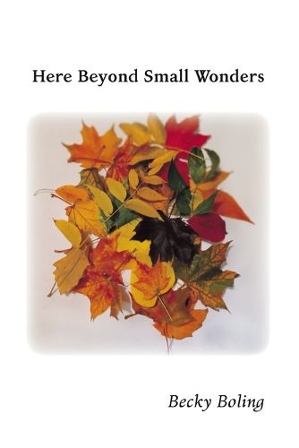 Cover image for Here Beyond Small Wonders