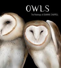 Cover image for Owls: The Paintings of Jeannine Chappell