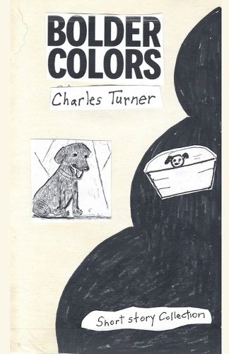 Cover image for Bolder Colors