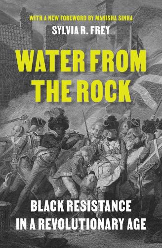 Cover image for Water from the Rock