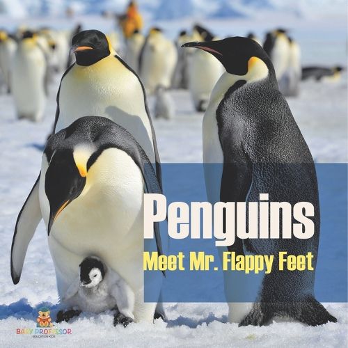 Cover image for Penguins - Meet Mr. Flappy Feet