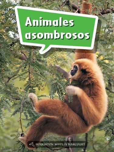 Cover image for Book 059: Animales Asombrosos: Leveled Reader, Enrichment Grade 1