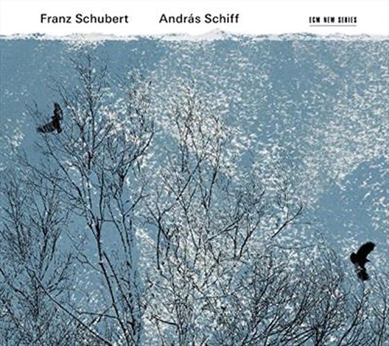 Schubert Sonatas Impromptus Moments Musicaux 2cd