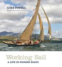 Cover image for Working Sail