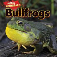 Cover image for Bullfrogs