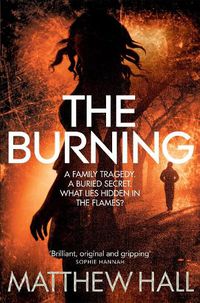 Cover image for The Burning