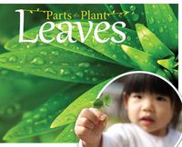 Cover image for Leaves