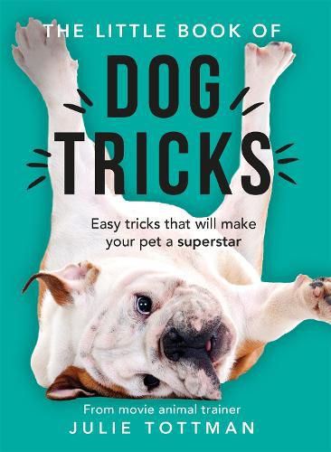 Cover image for The Little Book of Dog Tricks: Easy tricks that will give your pet the spotlight they deserve