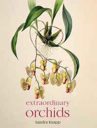 Cover image for Extraordinary Orchids