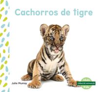Cover image for Cachorros De Tigre/ Tiger Cubs
