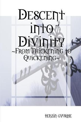 Cover image for Descent into Divinity