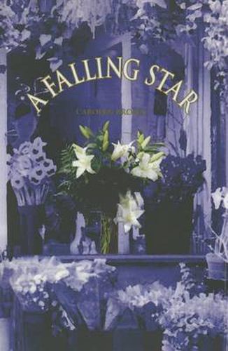 Cover image for A Falling Star