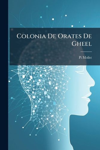Cover image for Colonia de Orates de Gheel: Memoria......
