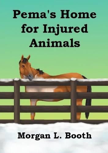 Pema's Home for Injured Animals
