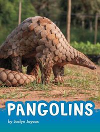 Cover image for Pangolins