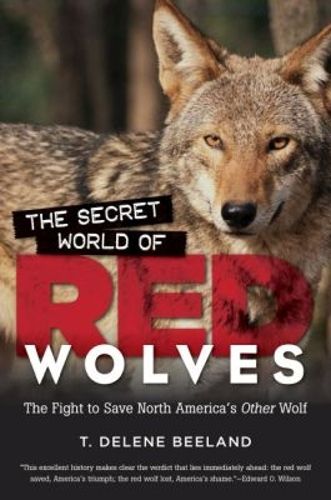 Cover image for The Secret World of Red Wolves: The Fight to Save North America's Other Wolf