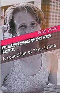 Cover image for The Disappearance of Amy Wroe Bechtel