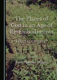 Cover image for The Places of God in an Age of Re-Embodiments: What is Culture?