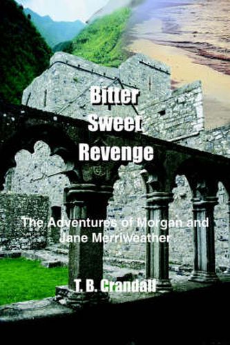 Cover image for Bitter Sweet Revenge