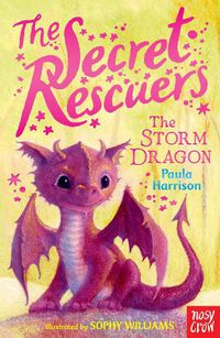 Cover image for The Secret Rescuers: The Storm Dragon