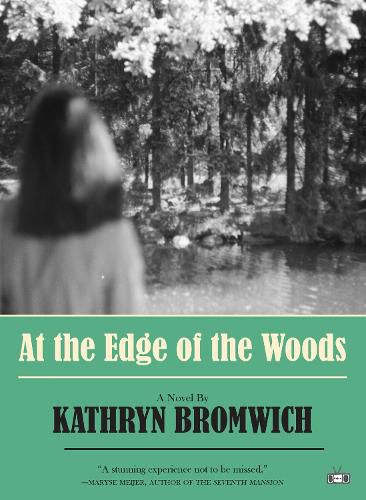 Cover image for At the Edge of the Woods