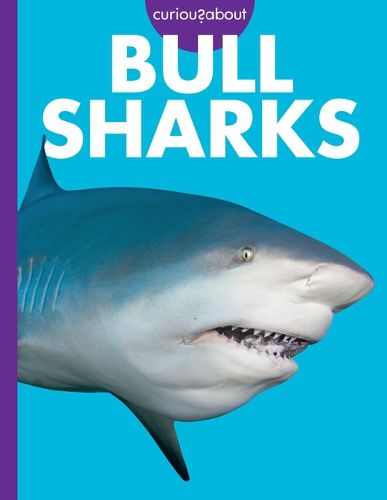 Cover image for Curious about Bull Sharks