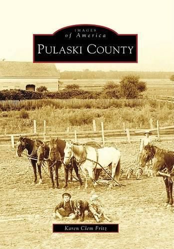 Cover image for Pulaski County, in