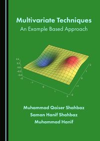 Cover image for Multivariate Techniques: An Example Based Approach