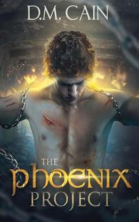 Cover image for The Phoenix Project