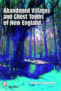 Cover image for Abandoned Villages and Ghost Towns of New England