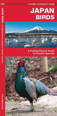 Cover image for Japan Birds: A Folding Pocket Guide to Familiar Species