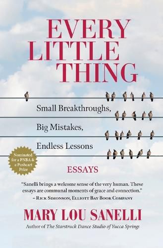 Cover image for Every Little Thing: Small Breakthroughs, Big Mistakes, Endless Lessons