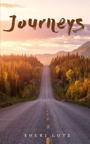 Cover image for Journeys