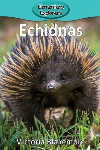 Cover image for Echidnas