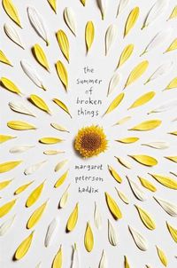 Cover image for The Summer of Broken Things