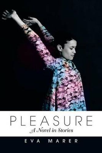 Cover image for Pleasure: A Novel in Stories