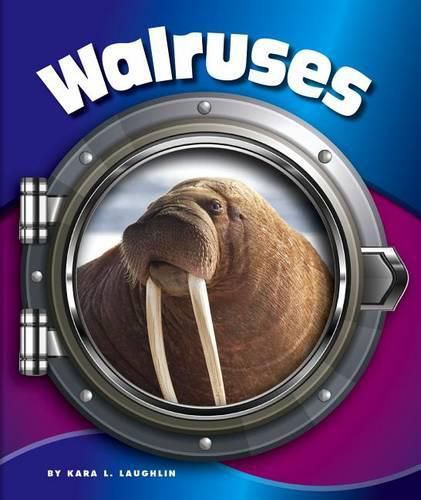 Walruses