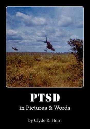 Cover image for PTSD in Pictures & Words