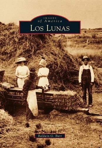 Cover image for Los Lunas